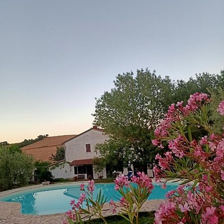 Agriturismo La Locandiera 蒙特马拉诺 外观 照片