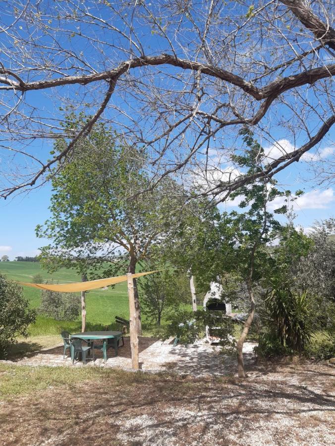 Agriturismo La Locandiera 蒙特马拉诺 外观 照片