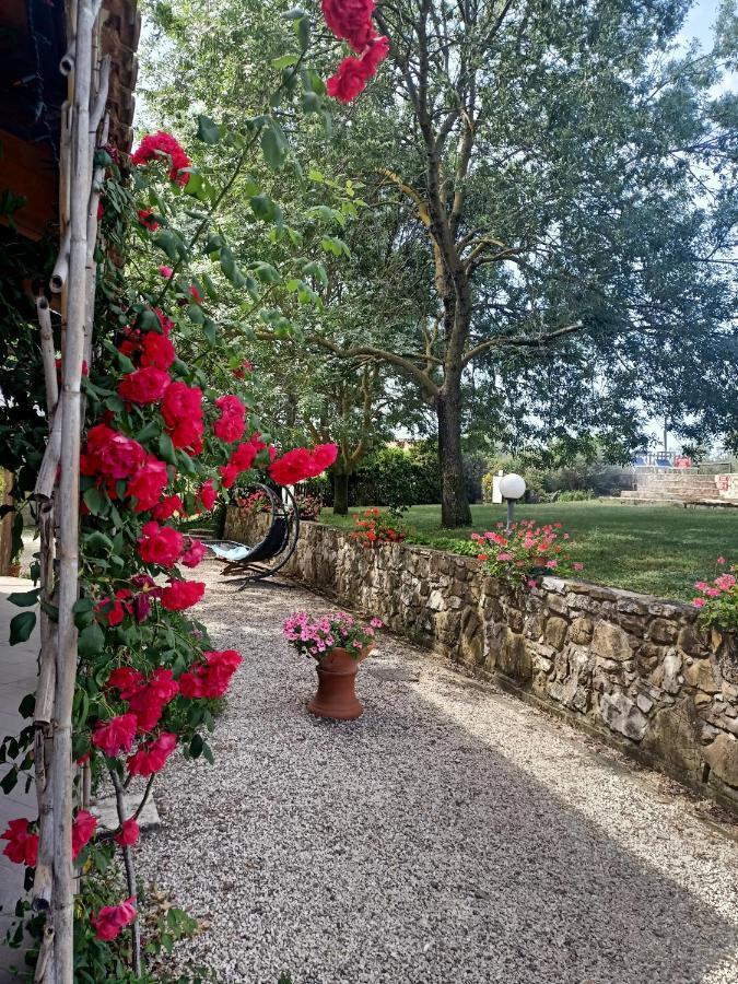 Agriturismo La Locandiera 蒙特马拉诺 外观 照片