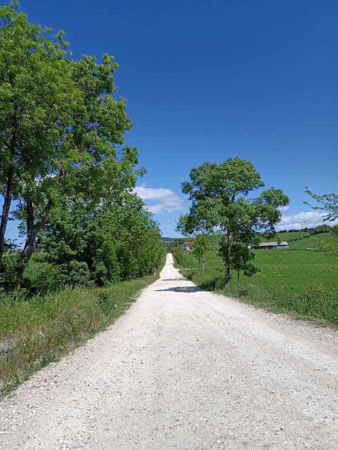 Agriturismo La Locandiera 蒙特马拉诺 外观 照片