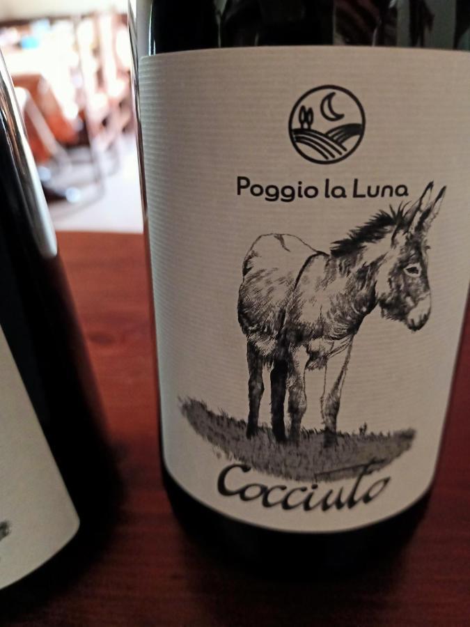 Agriturismo La Locandiera 蒙特马拉诺 外观 照片