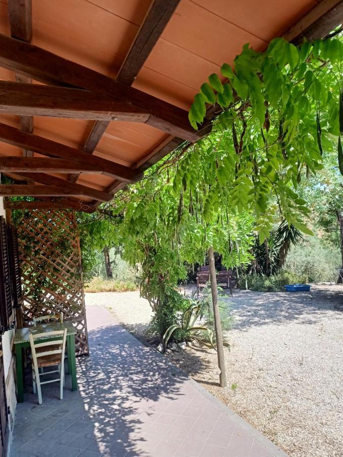 Agriturismo La Locandiera 蒙特马拉诺 外观 照片