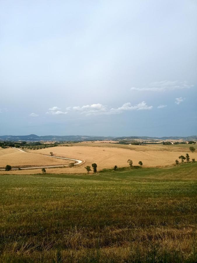 Agriturismo La Locandiera 蒙特马拉诺 外观 照片
