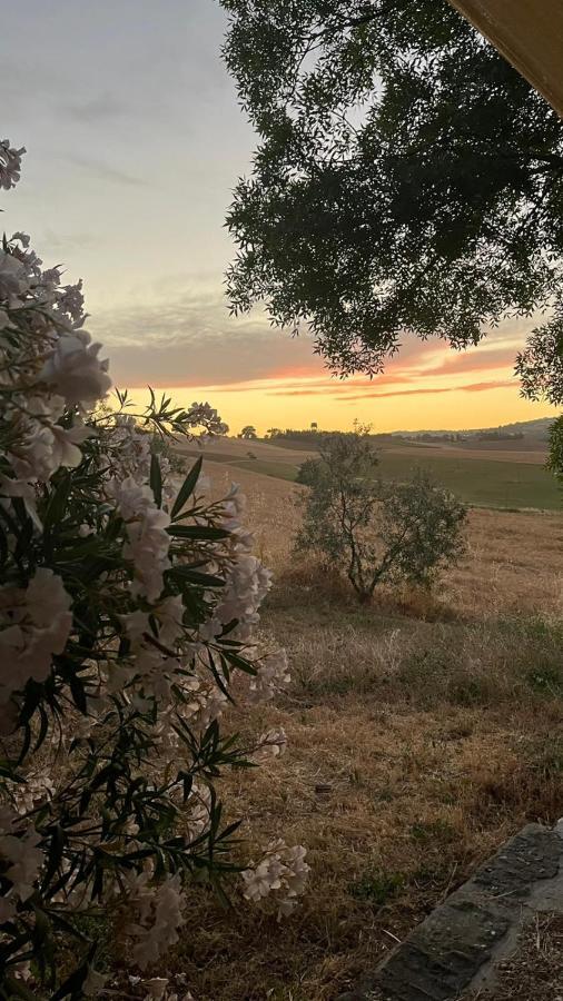 Agriturismo La Locandiera 蒙特马拉诺 外观 照片