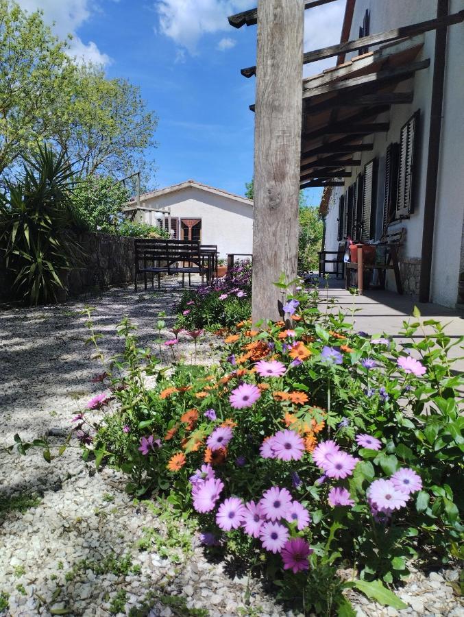 Agriturismo La Locandiera 蒙特马拉诺 外观 照片
