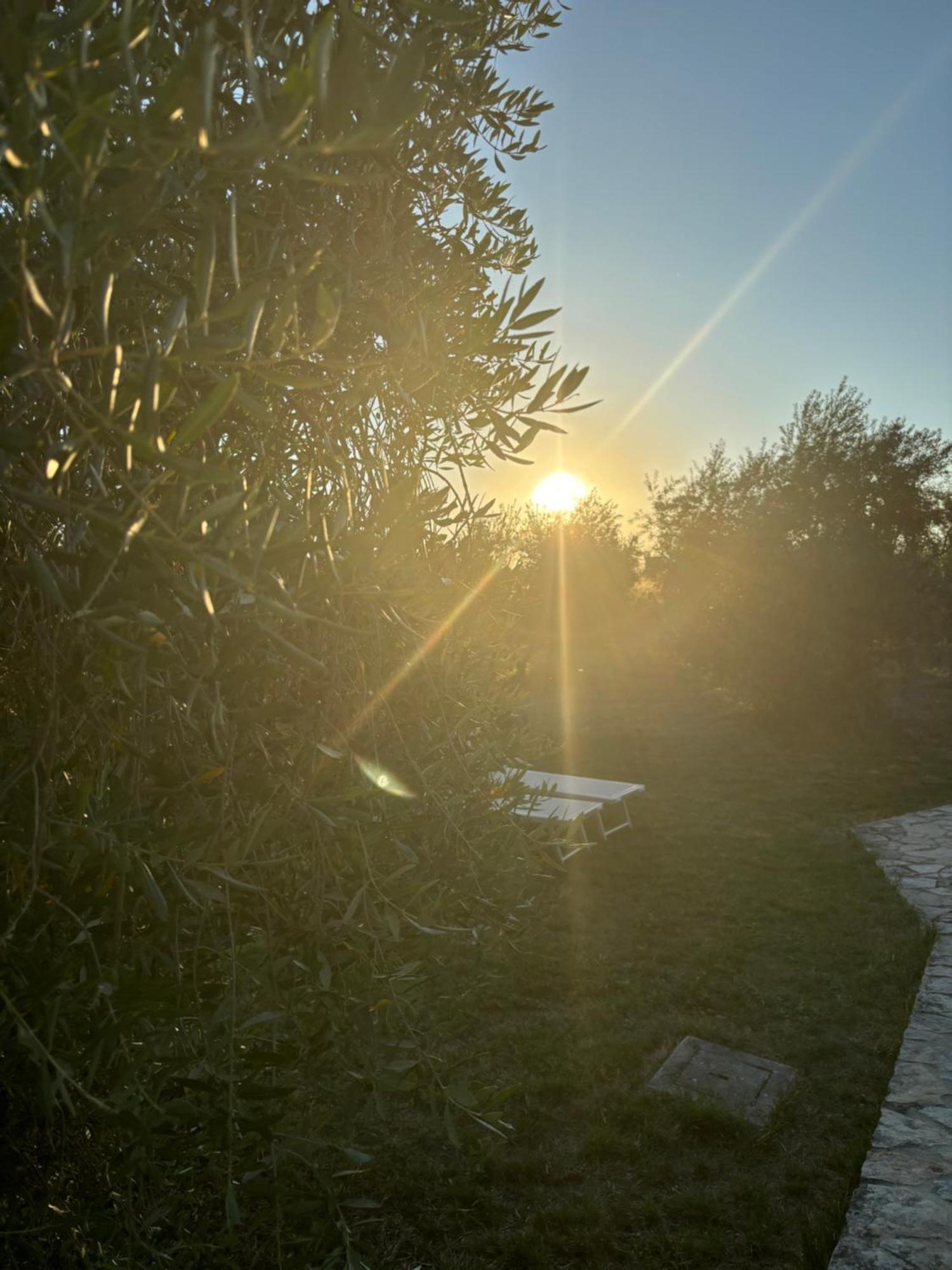 Agriturismo La Locandiera 蒙特马拉诺 外观 照片
